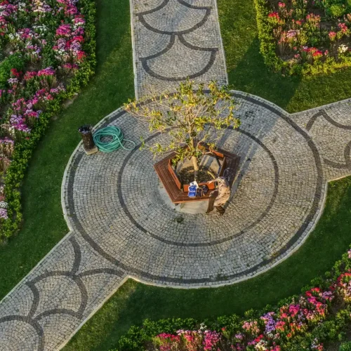 Insight Construction Group - Landscaping (4)